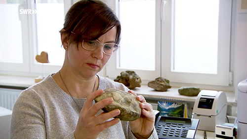 So wirken Mineralstoffe im Körper: Beitrag in der SWR-Landesschau vom 28. Januar 2021