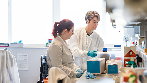 Ihre personalisierte Darmkur