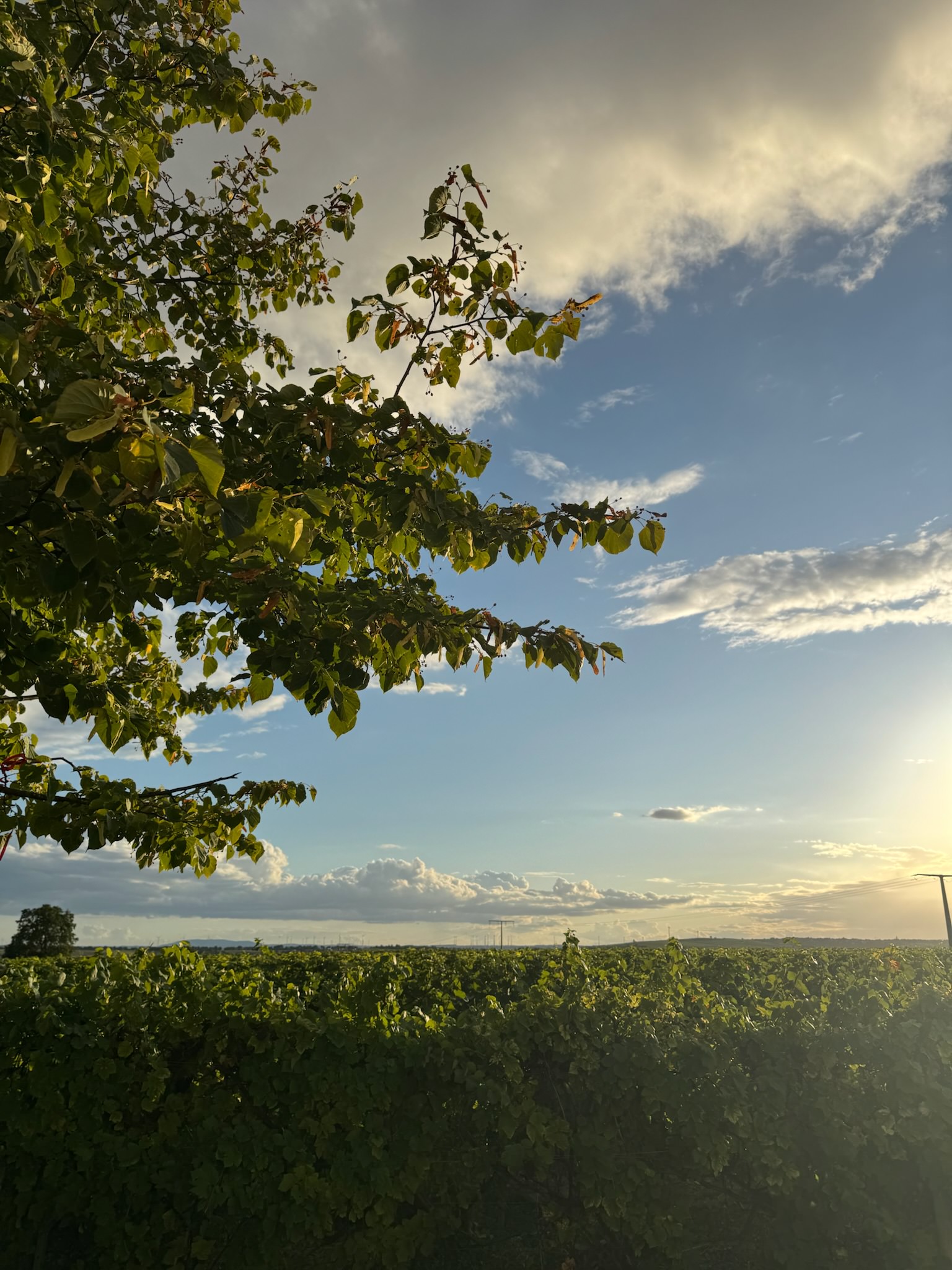  Netzwerktreffen mit Weitblick 